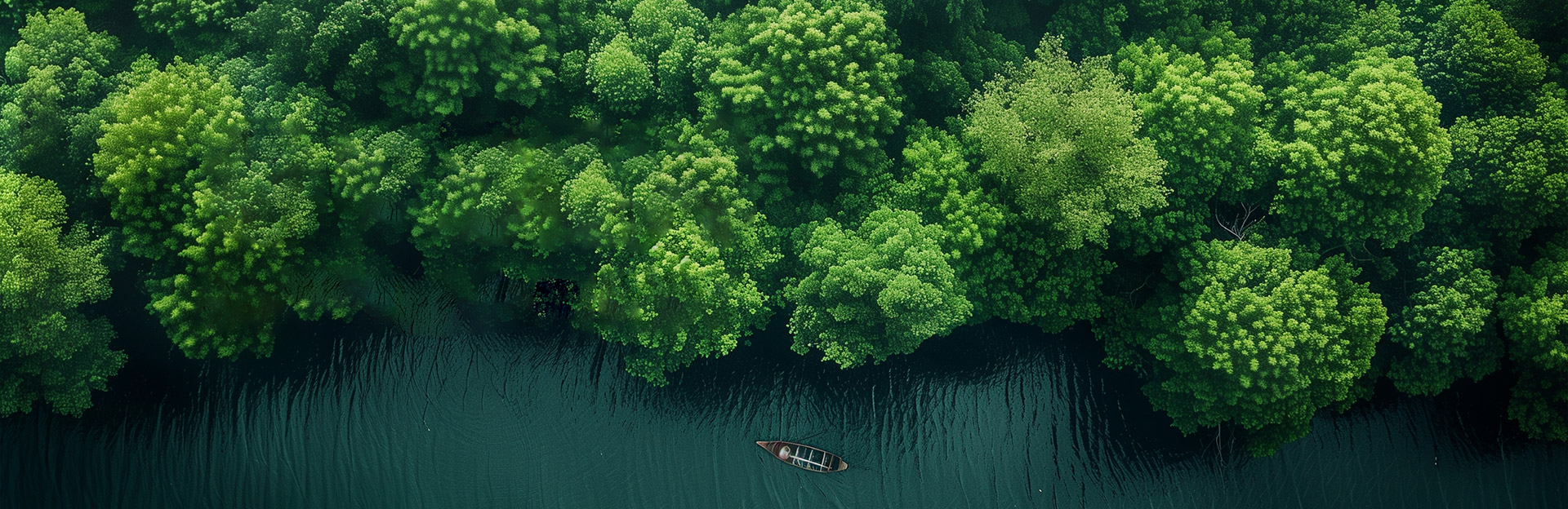 视频展示